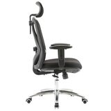 Sihoo Ergonomic Office Chair M18