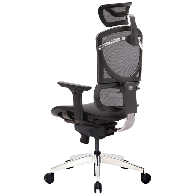 Onex GE-SE13X Ergonomic Chair | Costco Australia