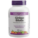 Webber Naturals Ginkgo Biloba 50:1 Extract 60mg 250 Tablets