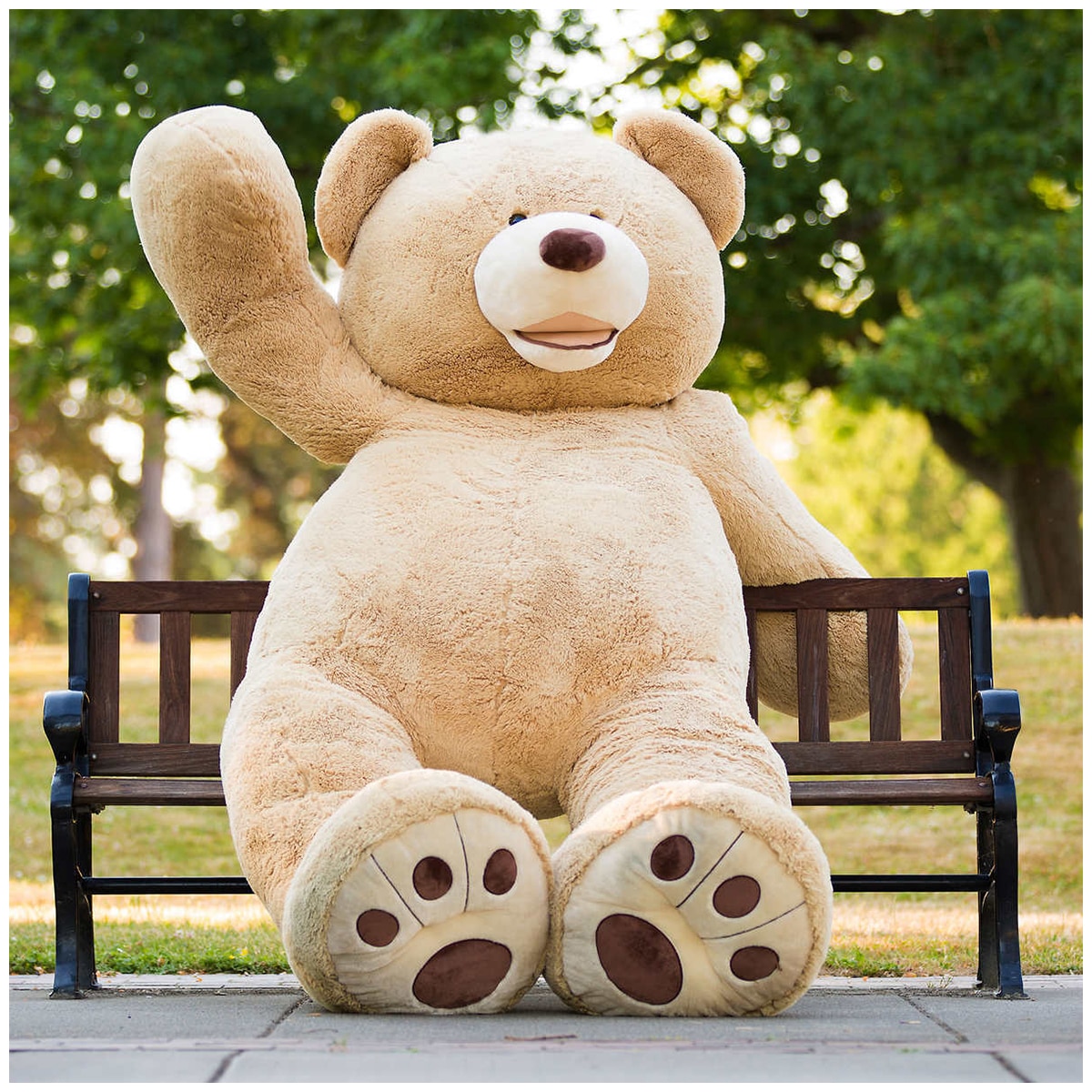 teddy bear in costco