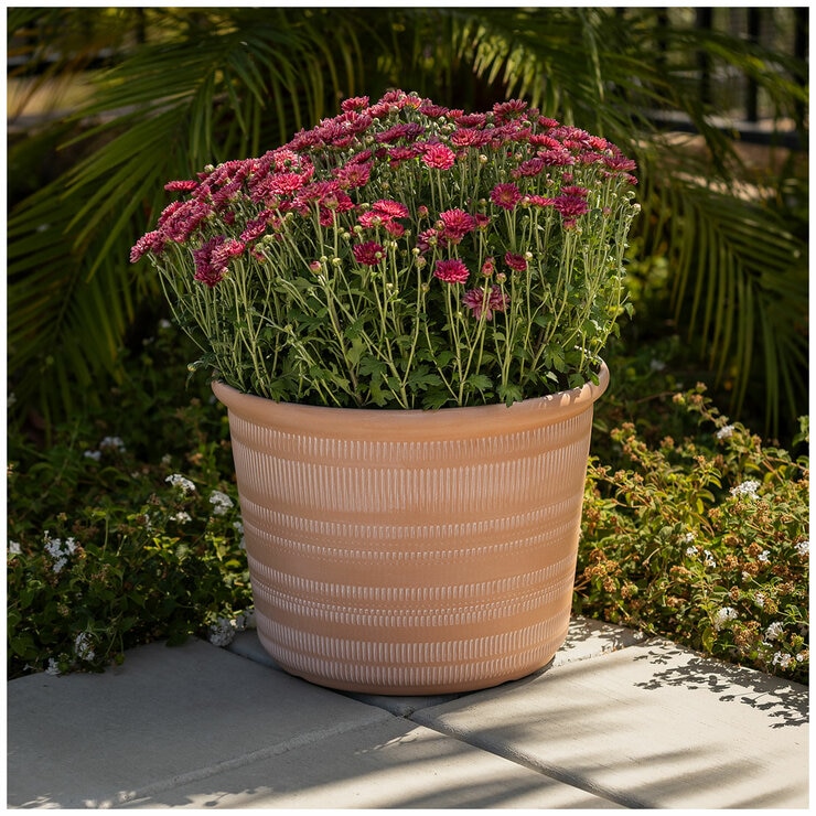 Forum Planters 3 Pack Forum Planters 3 Pack