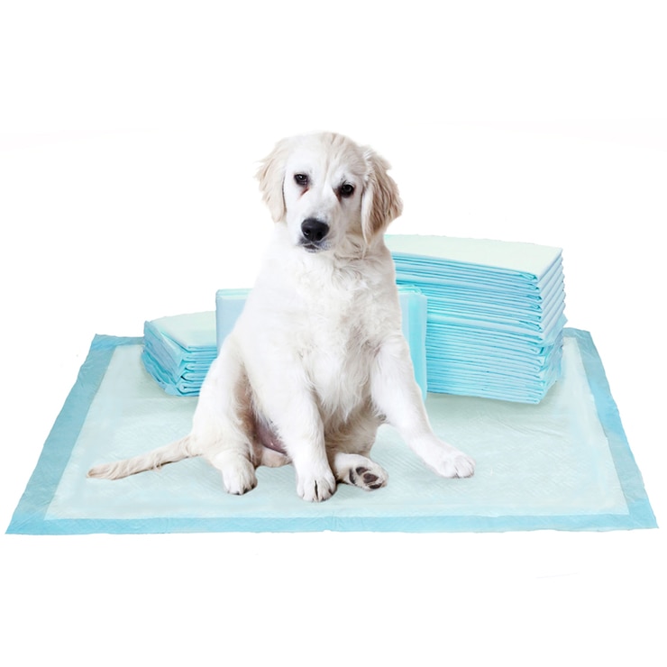 Kirkland Signature ExtraLarge Absorbent Puppy Pads 100pk