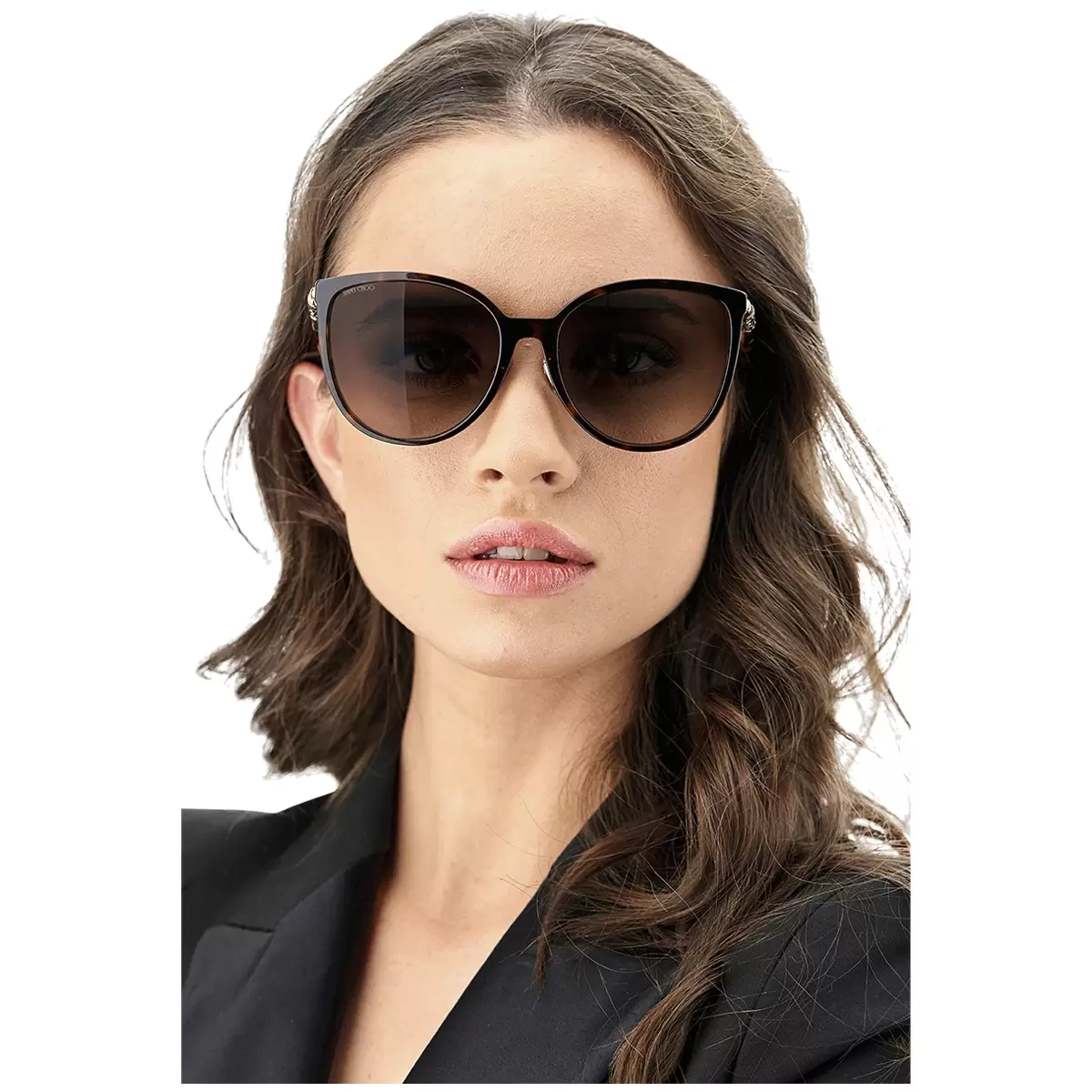 Jimmy Choo Raye/G/SK Women’s Sunglasses