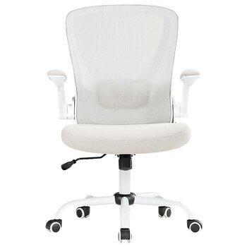 Eureka OC06 ONYX Ergonomic Office Chair
