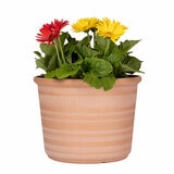 Forum Planters 3 Pack Forum Planters 3 Pack