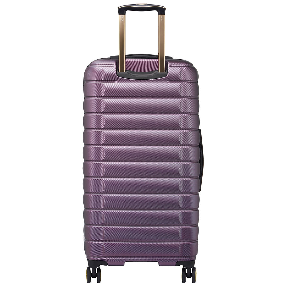 Delsey Shadow 5.0 Trunk Luggage Plum