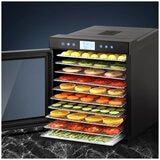 Devanti 10 Tray Food Dehydrator