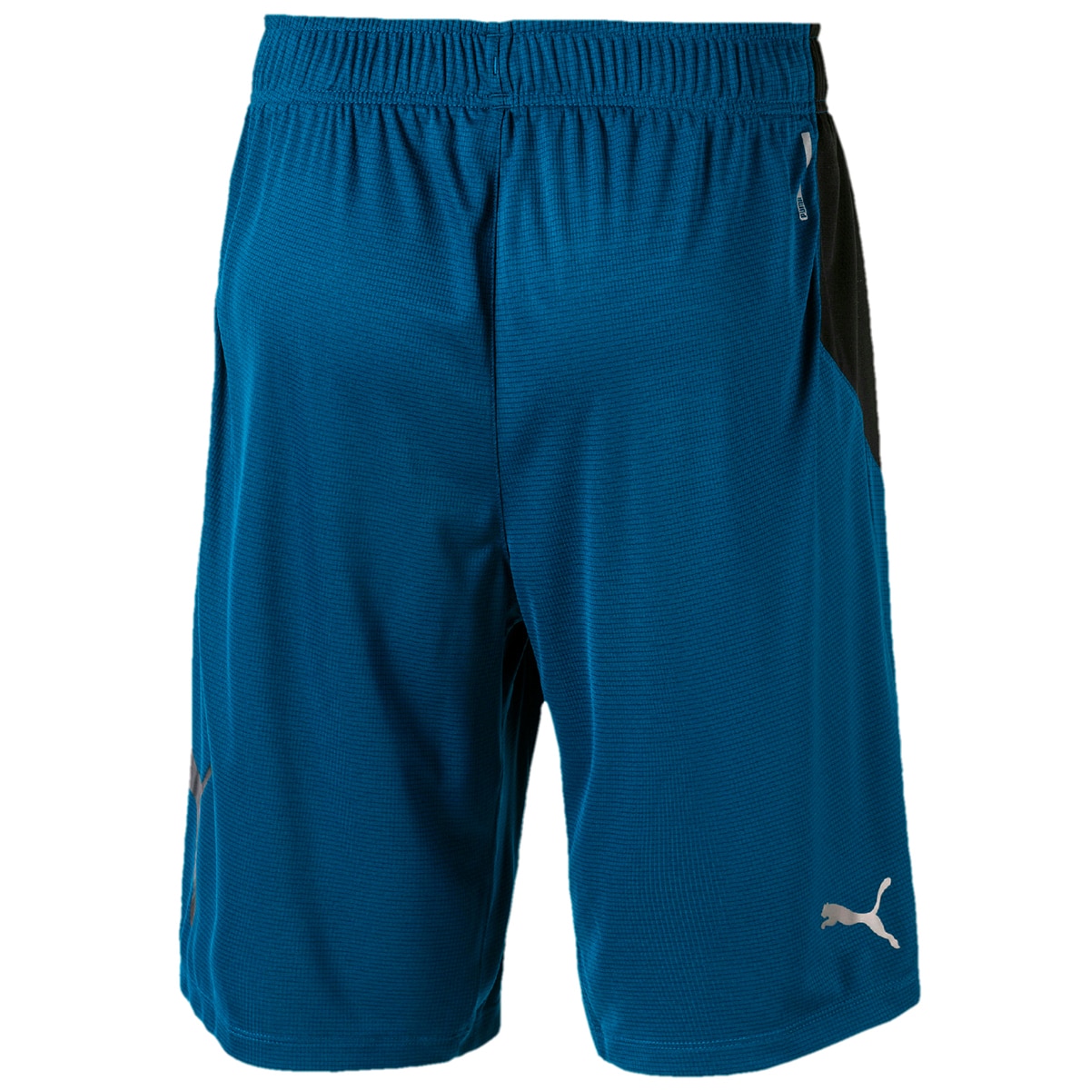 costco puma shorts