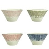 Mt Fuji Donburi Bowl 4 Piece Set