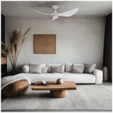 Brilliant CORO LED DC Ceiling Fan 132cm With Remote