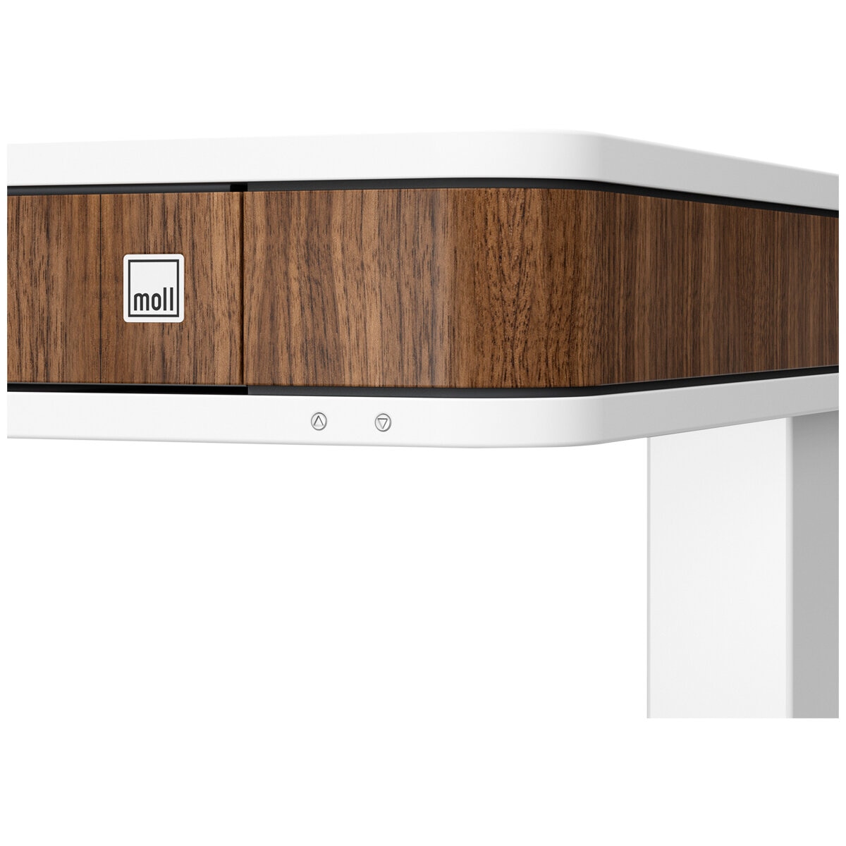 Moll T7 XL Walnut Sit and Stand Desk, White-Walnut