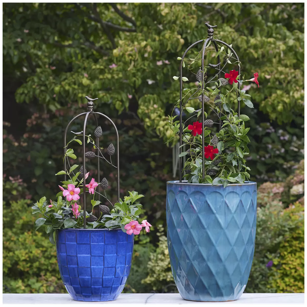 Garden Trellis Set of 2