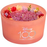 Short Story Disney 100 Candles 2 Pack Princess And Heartstrong