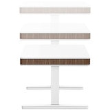 Moll T7 XL Walnut Sit and Stand Desk, White-Walnut