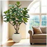 CG Hunter 2.4 Metre Faux Fiddle Leaf Fig Tree