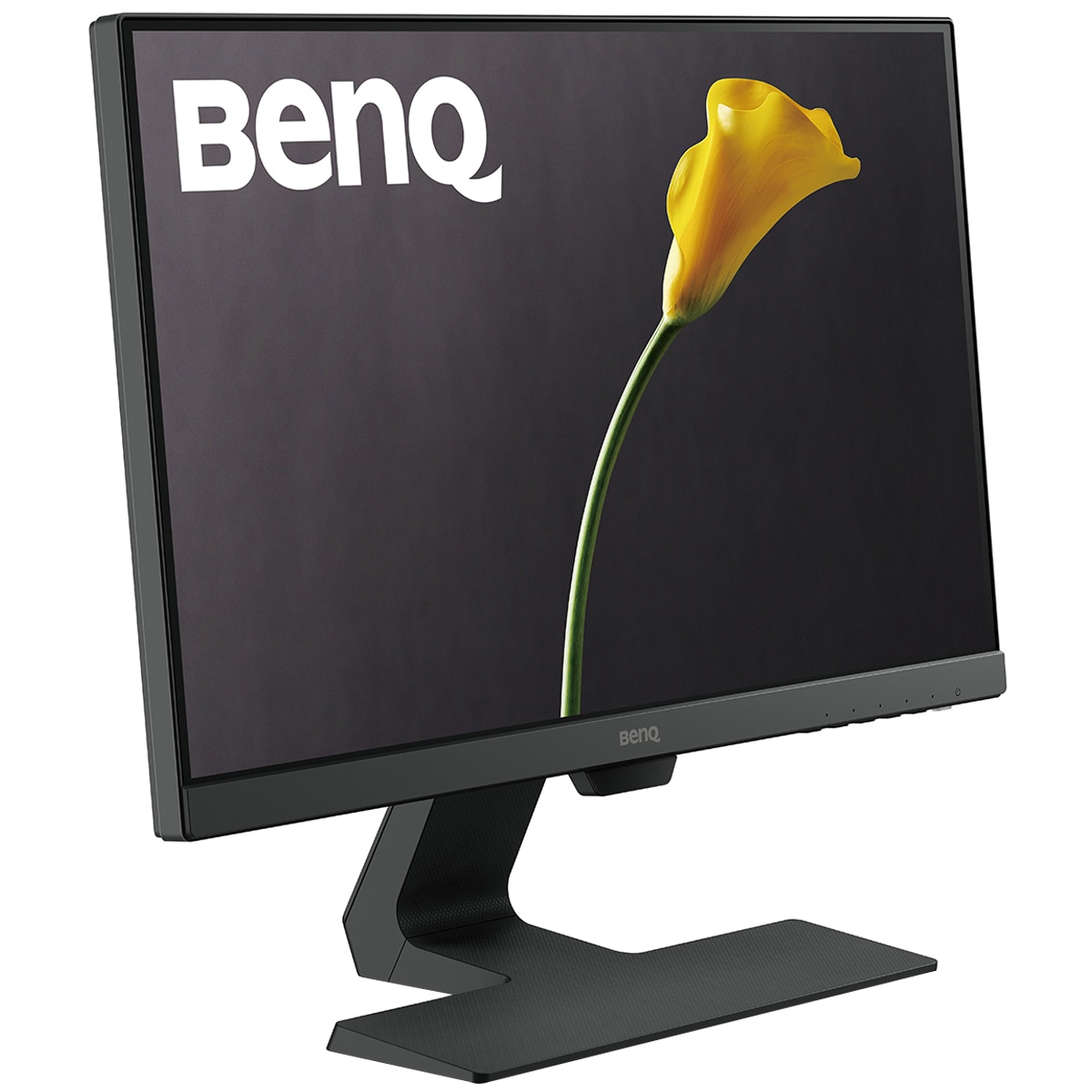 monitor benq 21