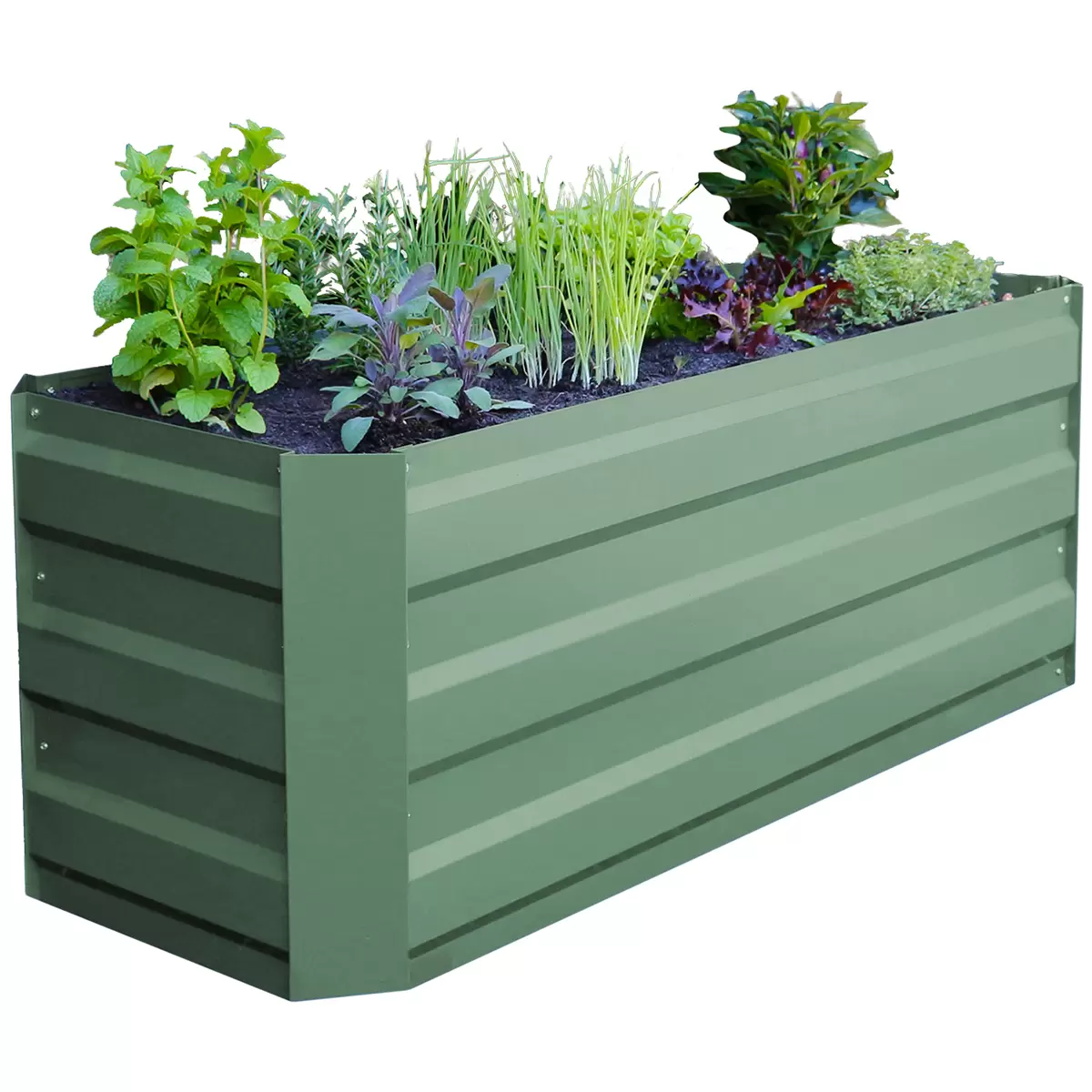 Greenlife Slimline Garden Bed & Greenhouse Cover 120 x 45 x 45cm 