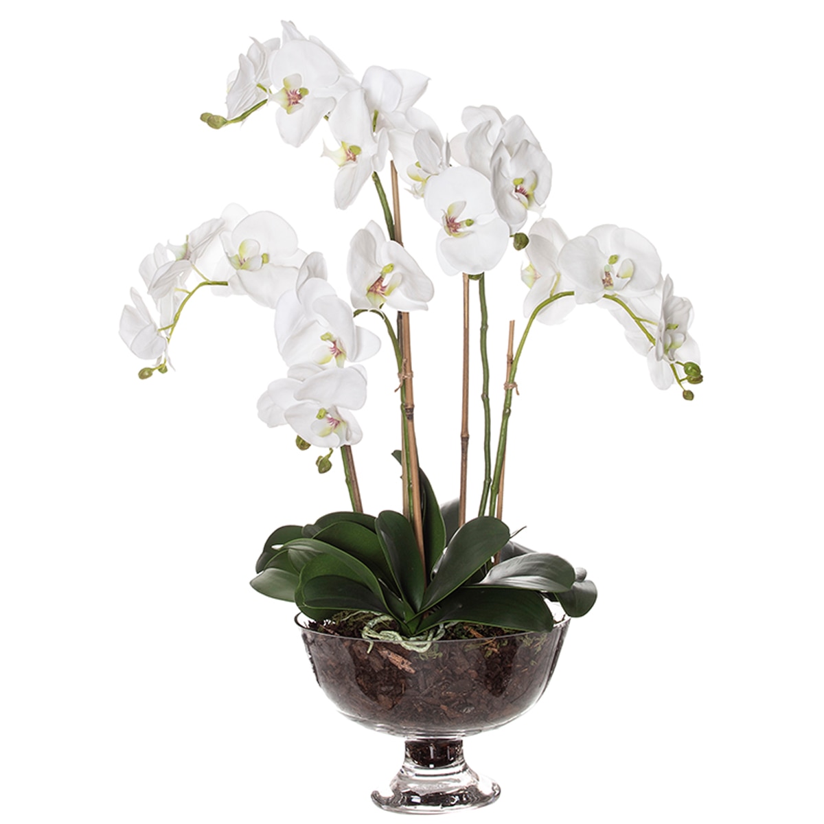 Rogue Deluxe Phalaenopsis Garden Dahlia Bowl Costco Aus...