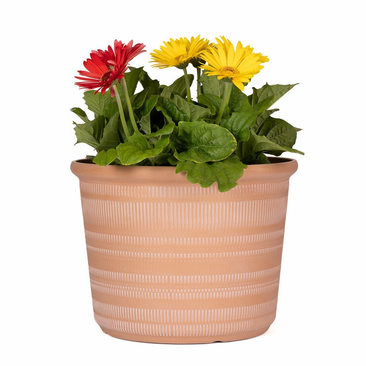 Forum Planters 3 Pack Forum Planters 3 Pack