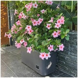 Greenlife Mobile Vege Patch with Trellis Greenlife Mobile Vege Patch with Trellis