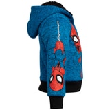 C Life - Kids Hoodie Assorted Characters - Spiderman