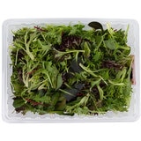 Mesclun Mix 1Kg