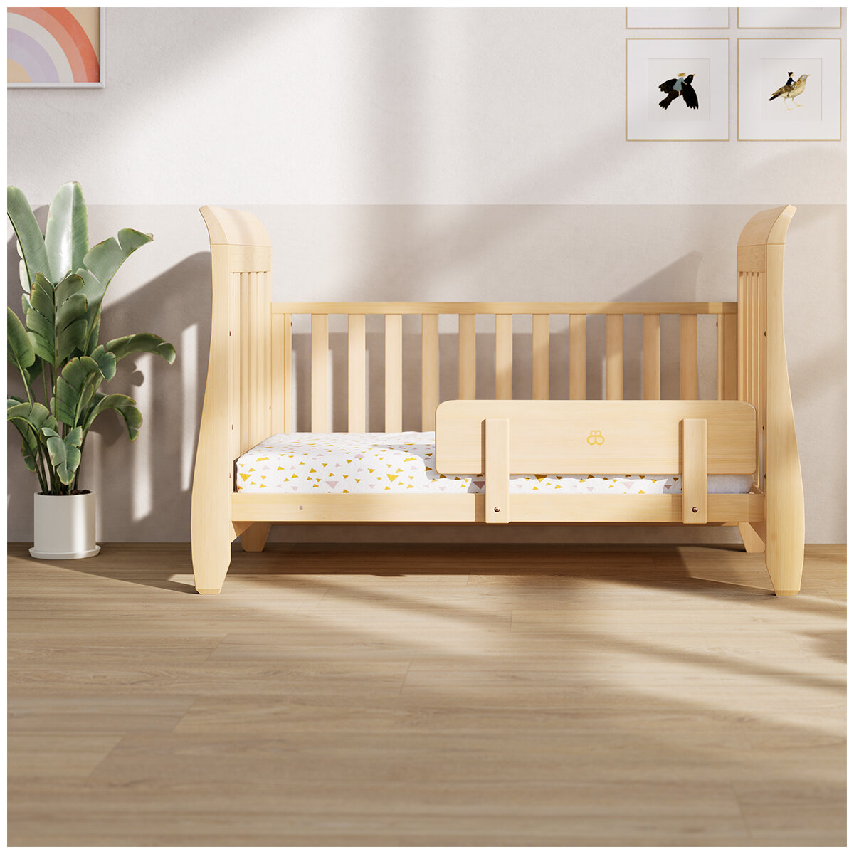 Boori plaza cot best sale