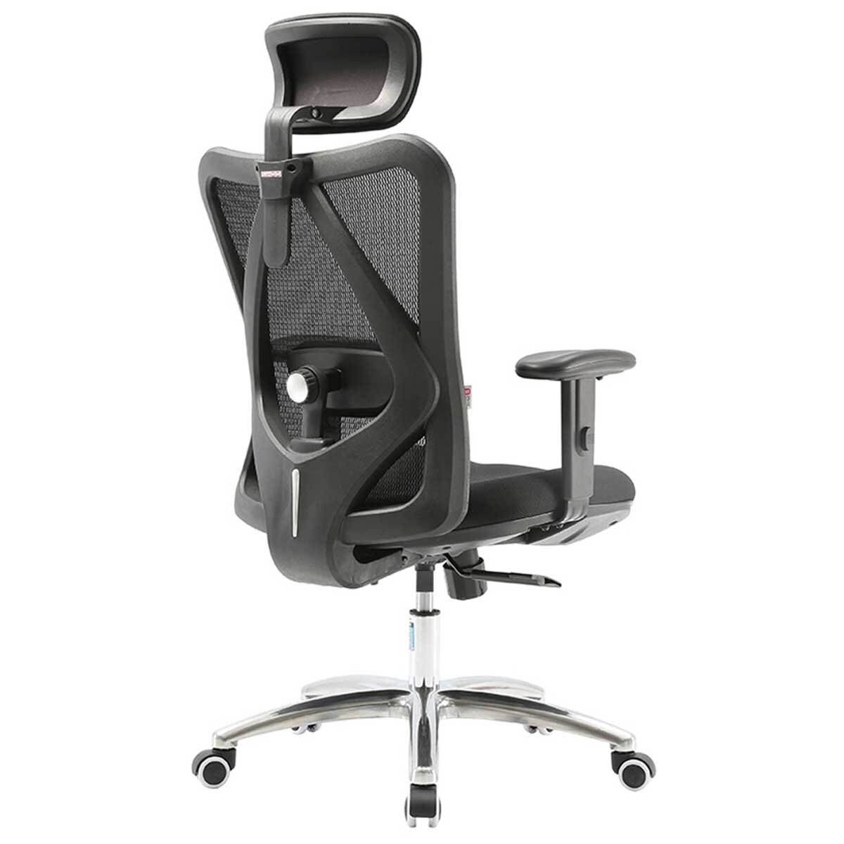 Sihoo Ergonomic Office Chair M18