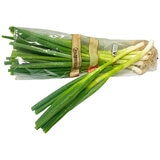 Spring Onion Super Bunch