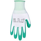 Groupe BBH Latex Foam Gloves 10 Pack