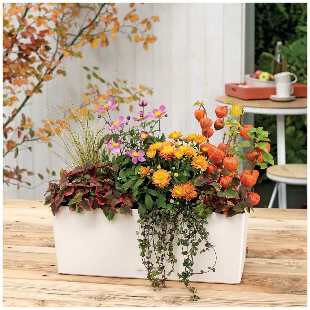 Lechuza Balconera Colour 50 Planter Set White