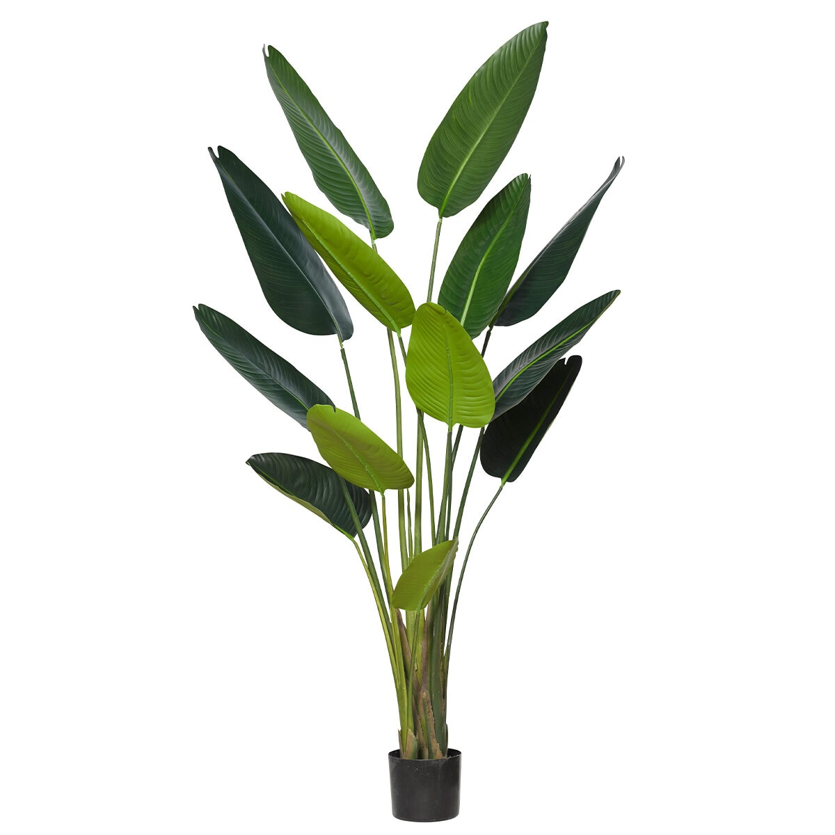 Rogue Giant Bird of Paradise Plant Pot 183cm | Costco Aus...