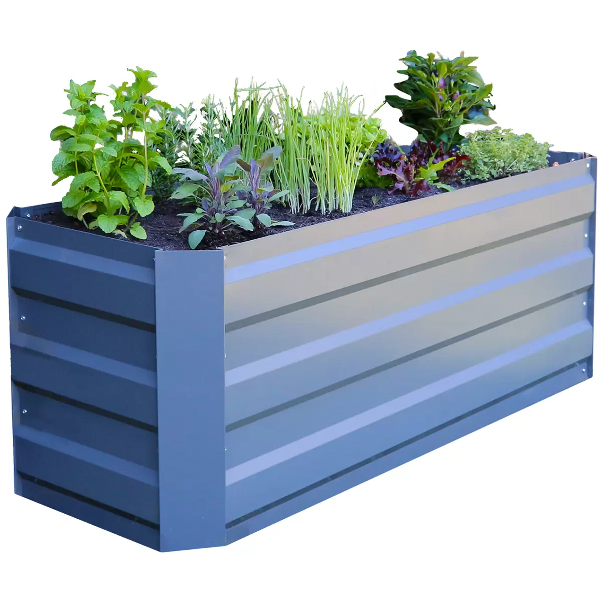 Greenlife Slimline Garden Bed 120 x 45 x 45cm 