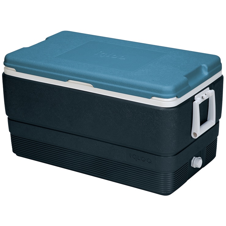 maxcold igloo cooler costco