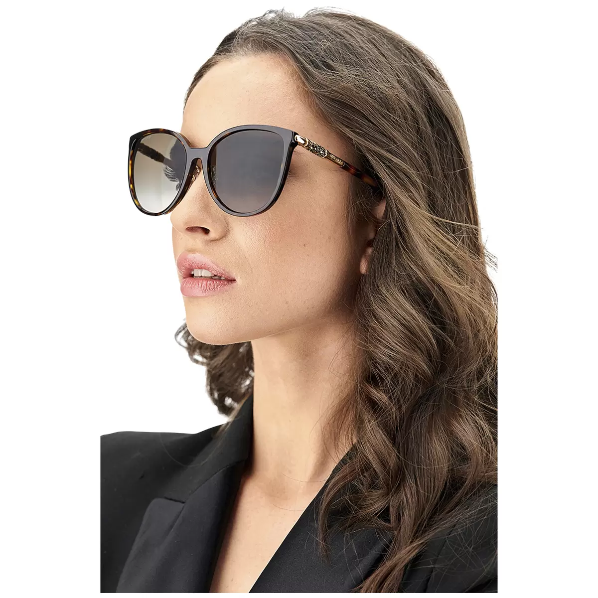 Jimmy Choo Raye/G/SK Women’s Sunglasses