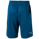 Puma Shorts - Navy