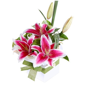 Enchanting Lilies Arrangement