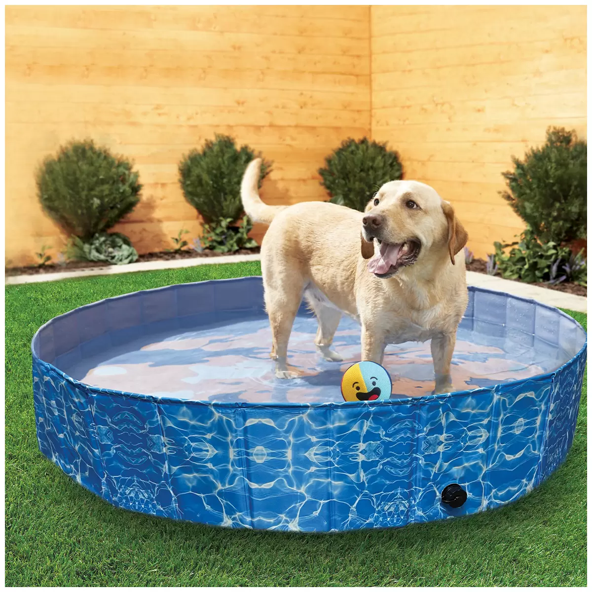 Companion Gear Portable Pet Pool Kit