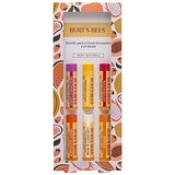 Burt's Bees Freshly Picked Favourites Lip Balm 6 Pack