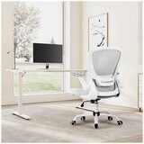 Eureka OC06 ONYX Ergonomic Office Chair